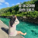 파란여행 | 괌 돌핀 투어 스노쿨링 액티비티 괌파란크루즈 괌 태교여행 후기