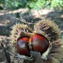 계수농장 이미지