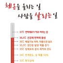 36.5 체온다이어트