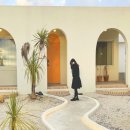 제주 우찌 이미지