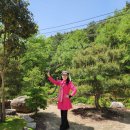 제일 무도학원 이미지