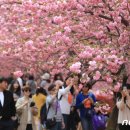완산-65 이미지