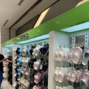 원주 AK플라자에서 크록스 구매한 후기 / 에이케이 5층
