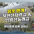 2024/08/03 (토) 서대문 이음길 이미지