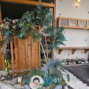 (주) 아이엔에스랩 | 화성 봉담 맛집 점심 가성비 좋은 일식 신동랩 화성봉담점 사케동 후기