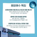 인셀덤고운