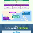 혜초여행개발 이미지