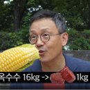 소고기 1kg을 생산하기 위해서는 옥수수 16kg 필요 이미지