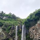 봄날은 간다-제주 기행 이튿날 이미지