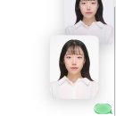 올림푸스한국 (주)대전센타 | [ 대전 유성구 ] 건설업 기초안전보건교육 이수 후기 :: 무료교육, 신청방법