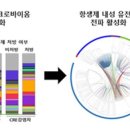 내성용역