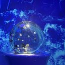 협동조합 꿈구는 거북이 | Fantasy