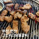 그린피그갈비 | 부산 연산동｜그린피그숯불갈비｜ 가족 외식 전문점 노포 돼지갈비집 내돈내산 후기