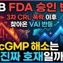 서한이노빌리티(주)1공장 | [HLB FDA 승인반전] 3차 CRL 폭락 이후 찾아온 VAI 반등 원료cGmp 해소는 과연 진짜 호재일까?