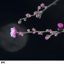 파르라니