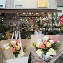 오월애 | 대전 꽃집 추천 둔산동 오월애플라워 꽃다발 기념일 생일 이벤트 성공 후기