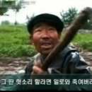 군것질