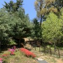 금학로277번길 | 용인 산책하기 좋은 번암공원에서 하루 : 폭포가 있는 공원