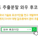 논문으로 보는 후코이단의 효능과 부작용 이미지