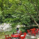 산머루집민박 | 인제 갯골산머루민박/ 여름 휴가지로 1000프로 만족하고 온 계곡민박.