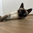 유온민박 이미지