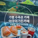 아쿠아가든카페 양재점 | 가평 아이랑 가볼만한곳 인생샷 대형카페 아쿠아가든 가평점