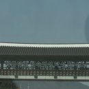 전여사네 돌산 갓김치&오동도김부각 네이버블로그