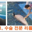 리틀쥬동물의료원 이미지