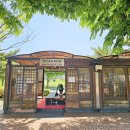 온천단지 가로수길 이미지