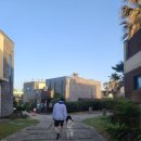 1일차ㅣ제주 성산 근처 숙소 독채 풀빌라ㅣ 달마루 스파 앤 풀빌라 가든뷰ㅣ아기랑 갈만한 성산 근처...