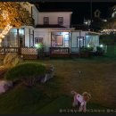 도담도담애견펜션 이미지