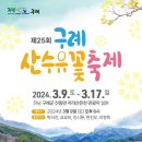 [코드엠] 제25회 구례산수유꽃축제 이미지