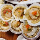 도도횟집 | 인천시청 맛집 산오징어 물회 제대로 즐긴 구월동 횟집 후기
