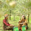 스테이구들 이미지