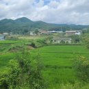 오미리 마을회관 이미지