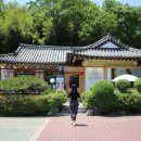 카페콩스탕스