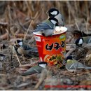 새들농장 이미지