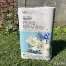 라벤더&바닐라 이미지