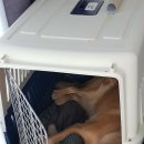 나은 캔넬 이미지