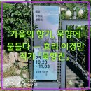 묵향 담은 한문서예 | 가을의 향기, 묵향에 물들다 — 효리 이경민 작가 「묵향전」