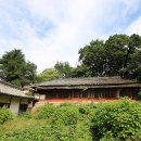 일원재(一源齋) Daum카페