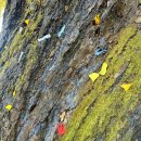 말하는 은행나무 | 경북 가을여행 칠곡 단풍놀이 말하는은행나무 실시간 | 주차