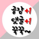 쿄쿄몰