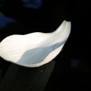 들꽃산장 이미지