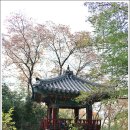 요천로 이미지