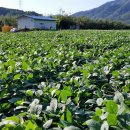 환이농장 이미지