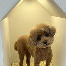 화사하개 이미지