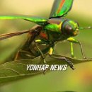 신라장식 - 송파구 백제고분로 144 | 신라장식