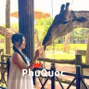 (주)친한F&amp;B | 푸꾸옥 여행 일정 빈펄 사파리 동선 추천 및 주트램 후기 할인코드 공유