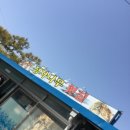정자나무횟집